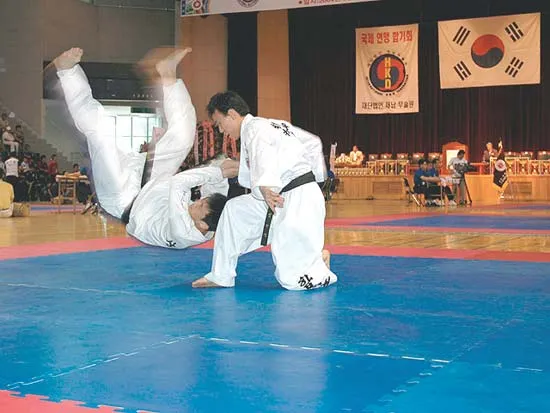 Hapkido tournament in South Korea